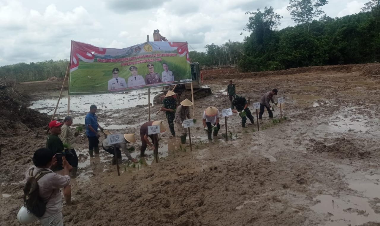 Penanaman Perdana Padi Program Cetak Sawah Rakyat, di belakang PP. DARUL KHULDI Desa Sri Mulya 